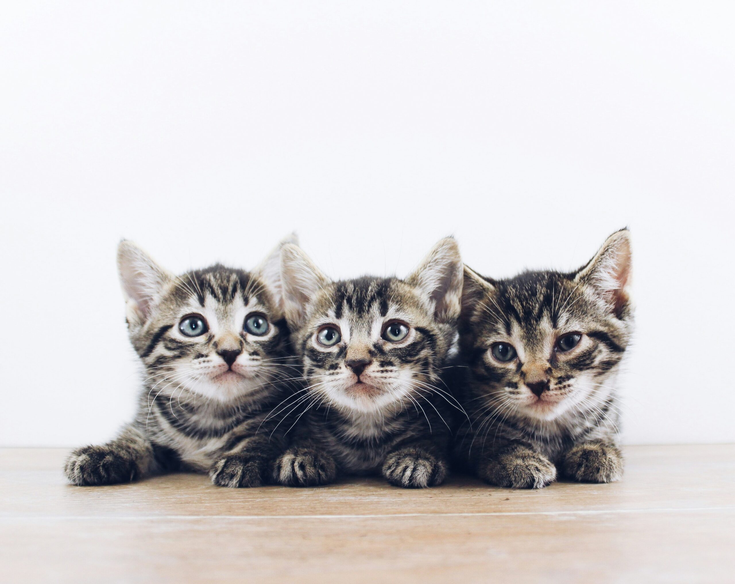 Hello world!